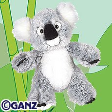 Koala Webkinz