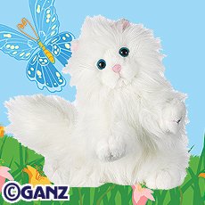Persian Cat Webkinz