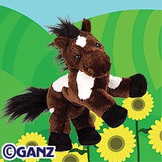 Pinto Webkinz