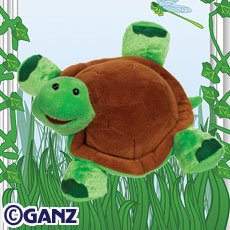 Turtle Webkinz