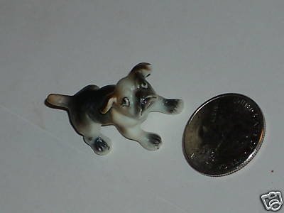 Tiny little dog glass