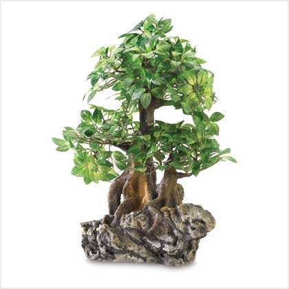 EVERLASTING BONSAI TREE