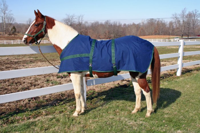 Amish made - Turnout Horse Blanket