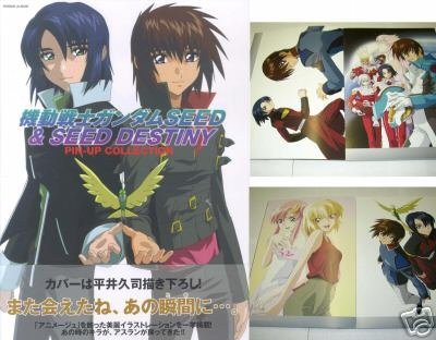 Gundam Seed Destiny Pinup Collection Art Book