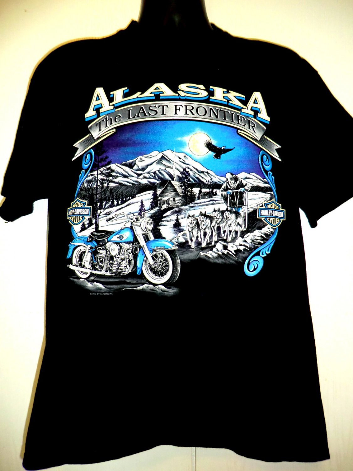 Vintage Harley Davidson ALASKA T-Shirt Size Large Anchorage House Of Harley