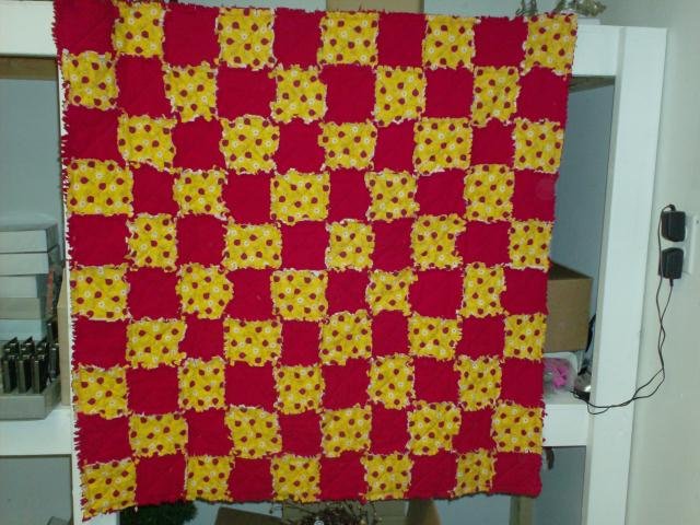 Ladybug Child or Small Throw Quilt, Handmade