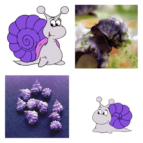 Teeny Weeny Winkles