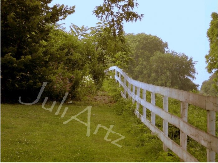BEYOND THE FENCE - photographic art - 8 x 10 photographic print