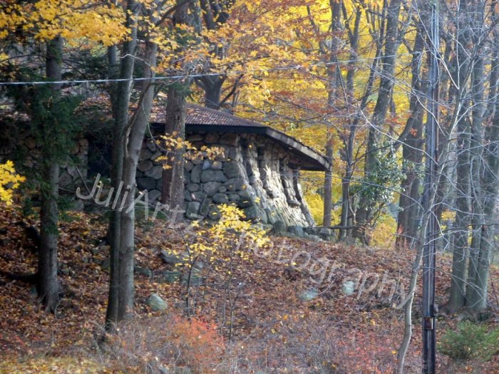 LOST HOUSE-Photographic Art-Scenic-Nature-Historic-Decor-Wall Hanging