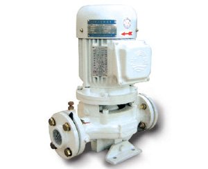 Hot-water inline Pump