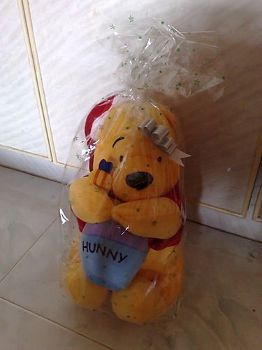 Disney Winnie The Pooh