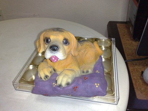 Dog On Blanket Coinbank