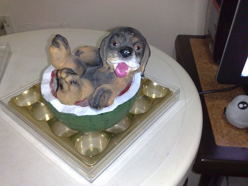 Dog In Watermelon Coinbank