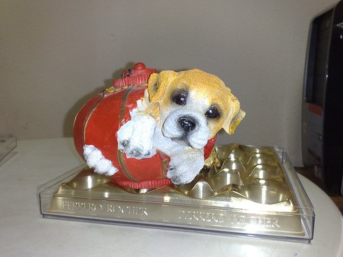 Dog In Lantern Coinbank
