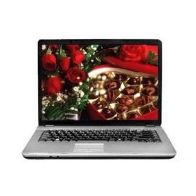 HASEE HP510 15.4" Laptop (Pentium Dual Core T2130 ,2048 MB RAM ,120 GB Hard Drive ,Windows XP)