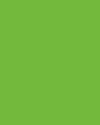 Chroma key Green Screen Muslin 10 X 12