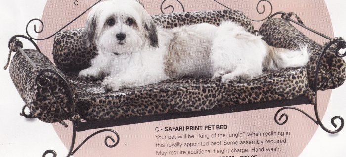SAFARI PRINT PET BED