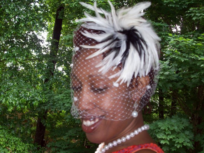 English Chenile Birdcage Veil