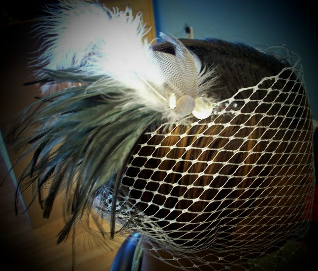 Platnium Princess Birdcage Veils