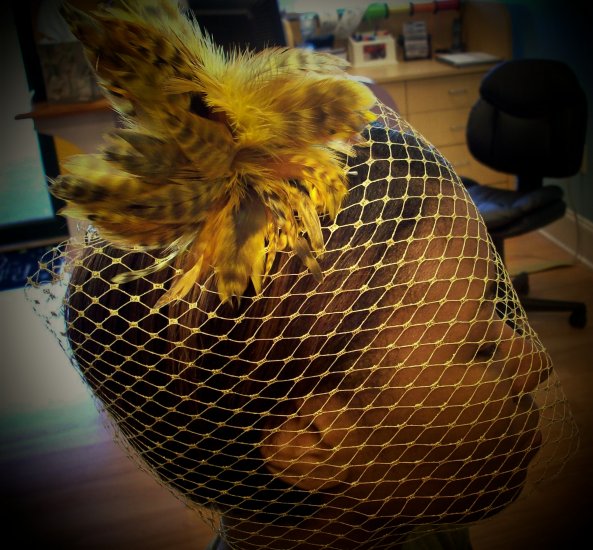 Golden Goddess Birdcage Veils