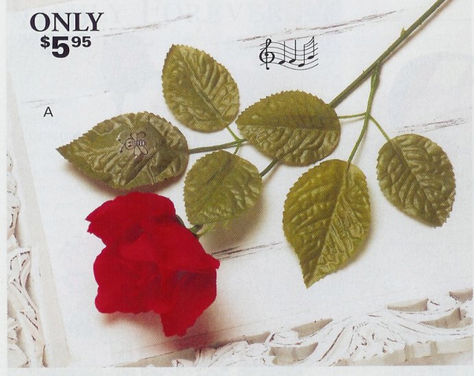 Musical Rose