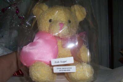 Wax Dipped Bear