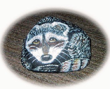 Racoon Rock