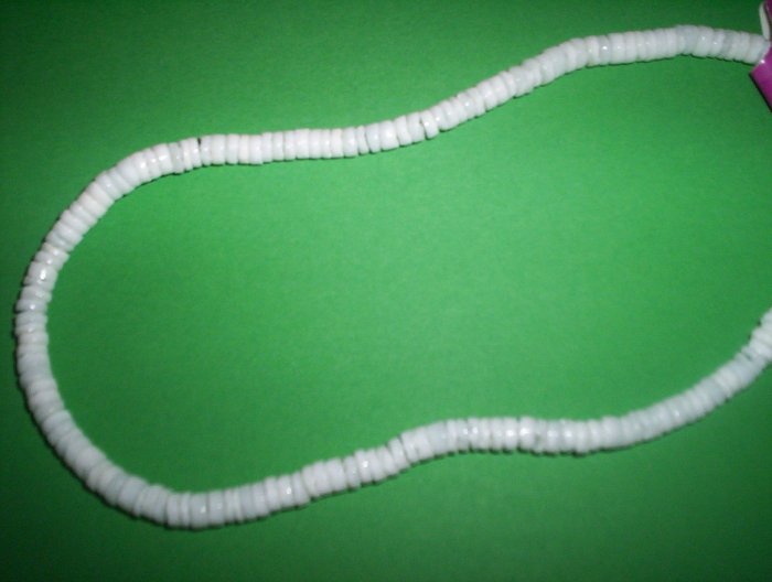 white shells