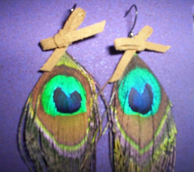 pecok feather