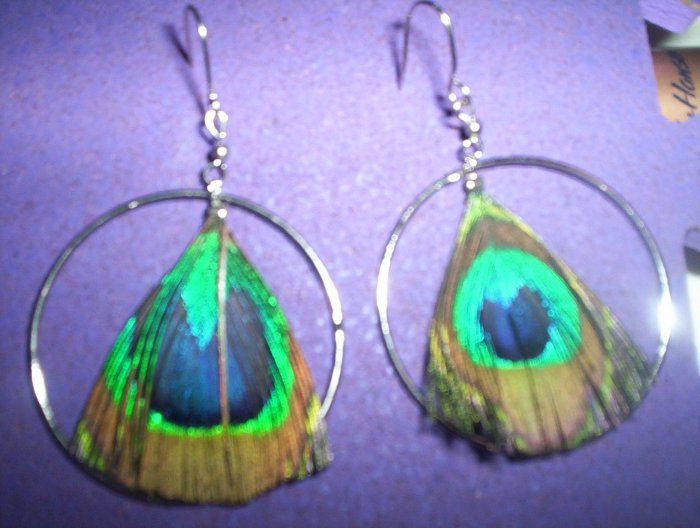 pecok feather hoop
