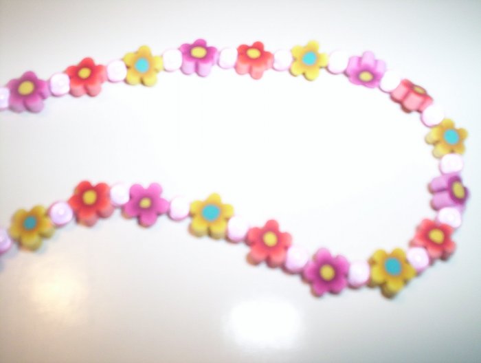 warm color flowers
