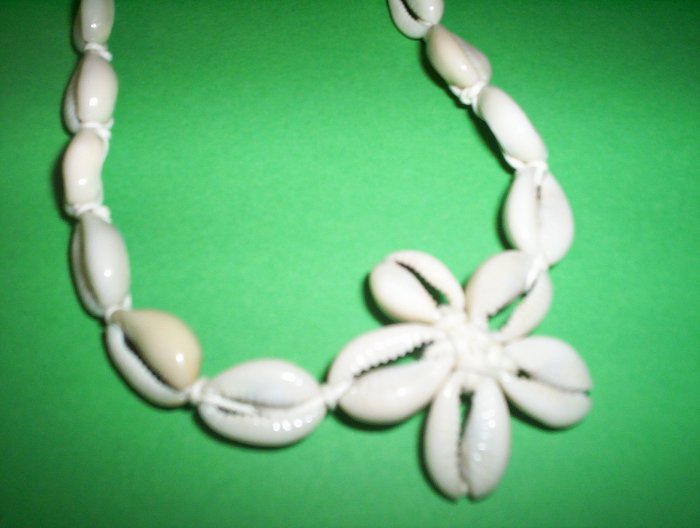 shells 2