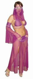 4 Piece Sheer Harem Girl Outfit with Coin Fringe Sleeves and Sequin Skirt