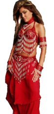 5 Piece Belly Dancer Costume with Two Tone Beaded Fringe