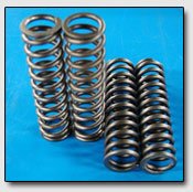 Showa fork springs
