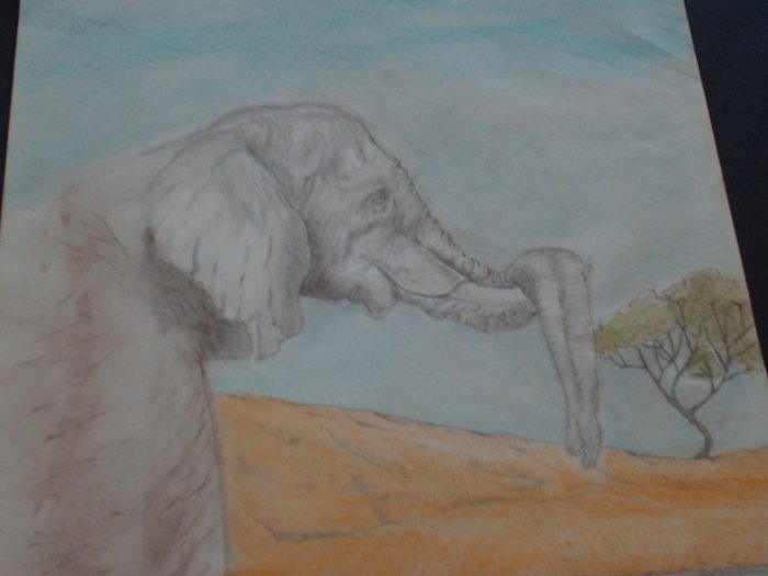 Artwork