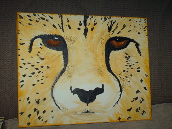 Cheetah