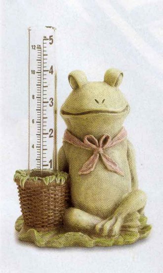 Frog Rain Guage
