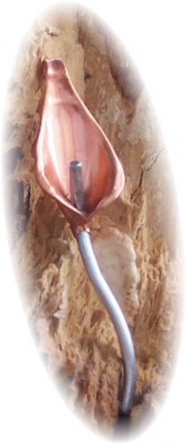 Cala Lily Pendant