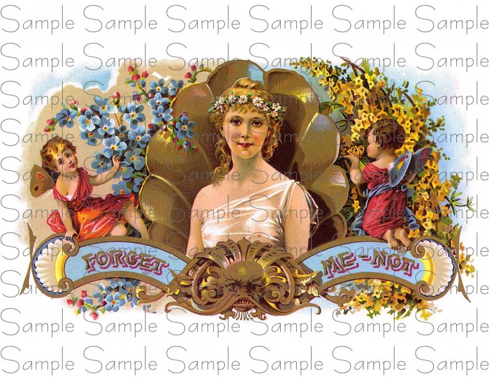 Forget Me not Vintage Digital Cigar Box Art Ephemera Scrapbooking Altered Art