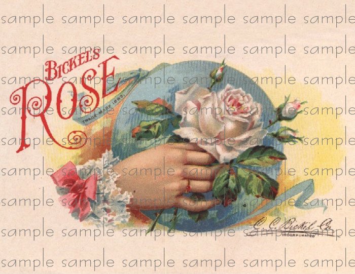 Brickles Rose Digital Cigar Box Art Ephemera Scrapbooking Altered Art Decoupage