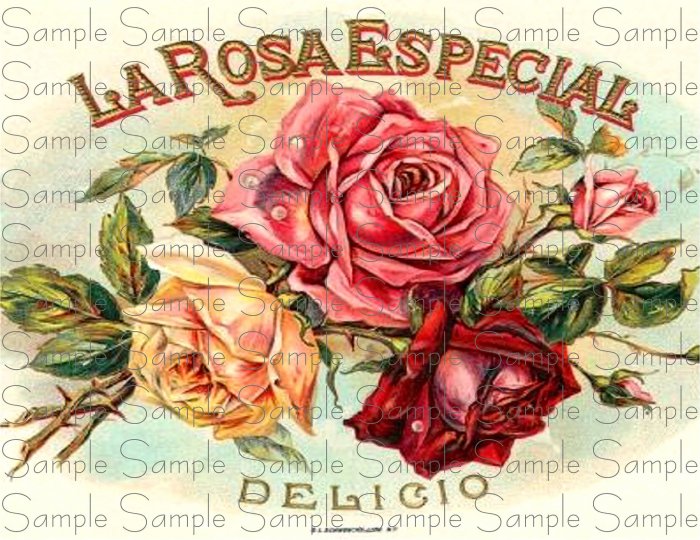La Rosa Especial Digital Cigar Box Art Ephemera Scrapbooking Altered Art Decoupage