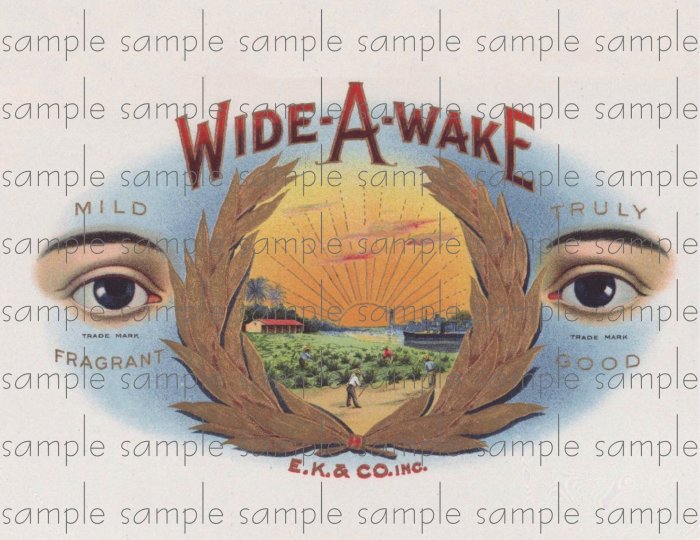 Wide A Wake Cigar Box Art Ephemera Scrapbooking Altered Art Decoupage