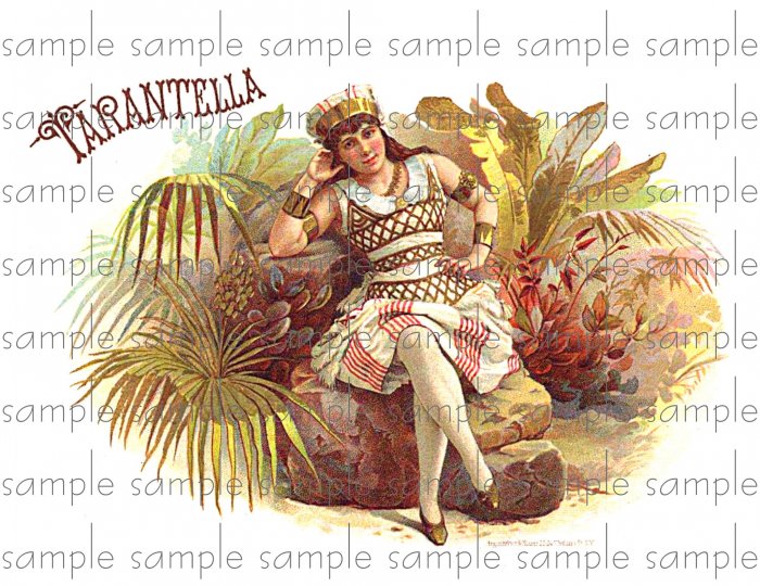 Tarantella Cigar Box Art Ephemera Scrapbooking Altered Art Decoupage