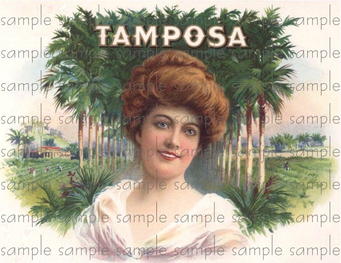 Tamposa Cigar Box Art Ephemera Scrapbooking Altered Art Decoupage