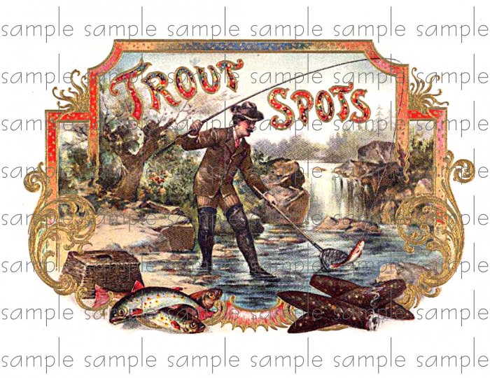 Trout Spots Cigar Box Art Ephemera Scrapbooking Altered Art Decoupage