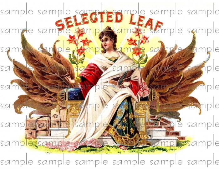 Selected Leaf Cigar Box Art Ephemera Scrapbooking Altered Art Decoupage