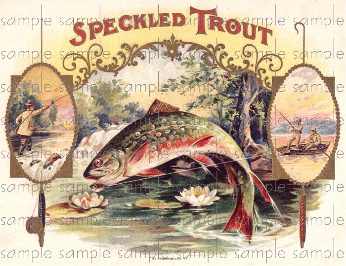 Speckled Trout Vintage Digital Cigar Box Art Ephemera Scrapbooking Altered Art Decoupage