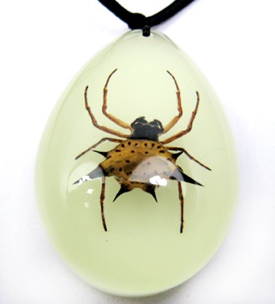 Real Insect Bug Luminous Amber Necklace Pendant Spider