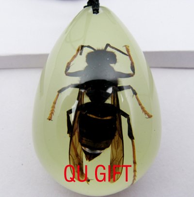 Real Insect Bug Luminated Amber Necklace Pendant Wasp